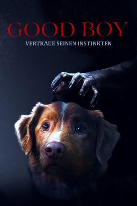 Good Boy - Trust His Instincts