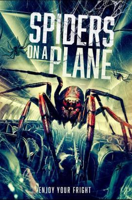 Spiders on a Plane