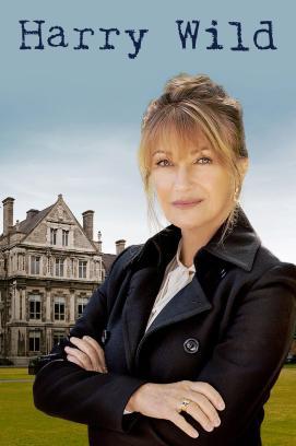 Harry Wild - Mörderjagd in Dublin - Staffel 1