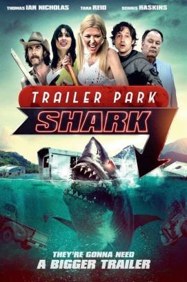 Shark Shock